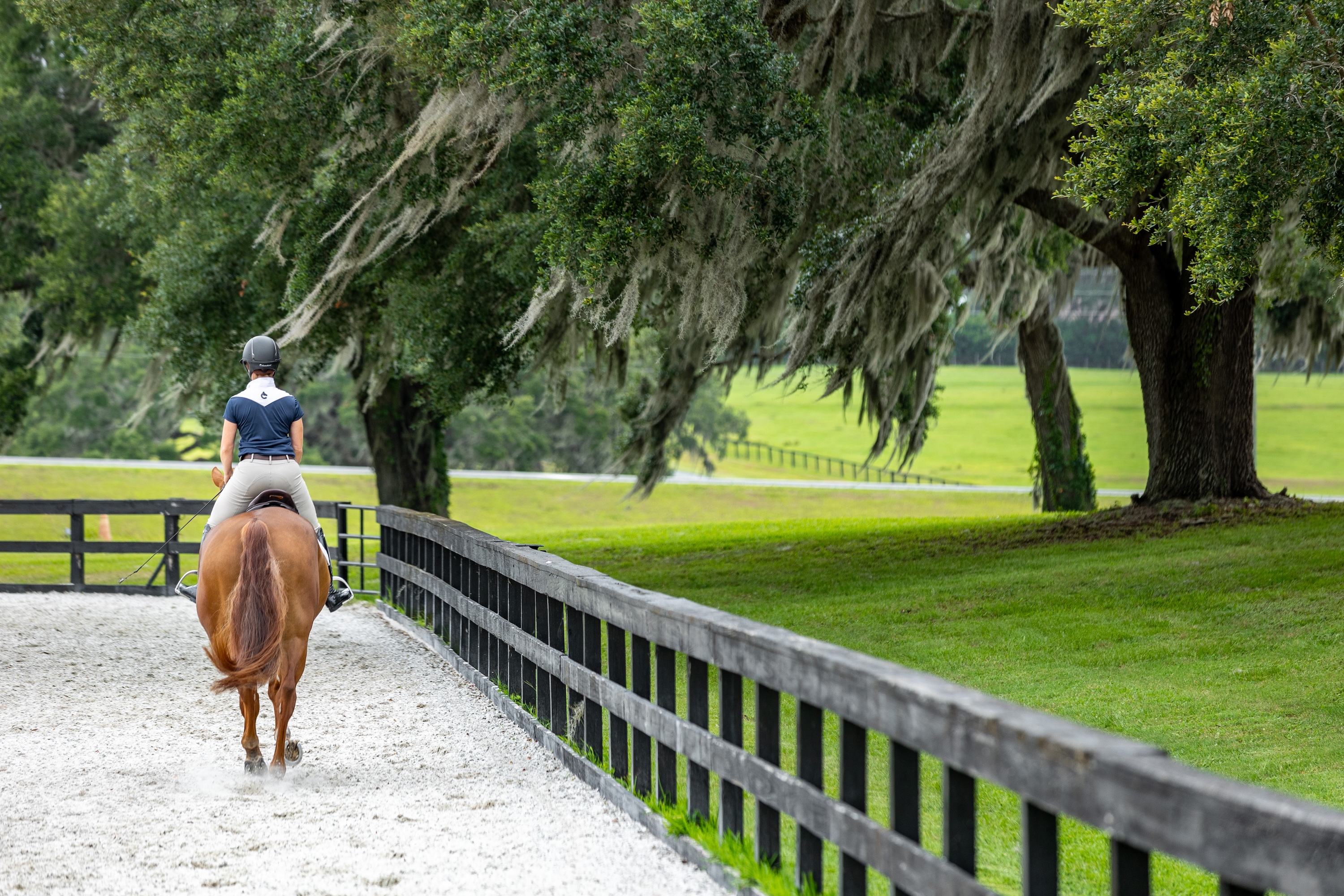 woman riding a horse